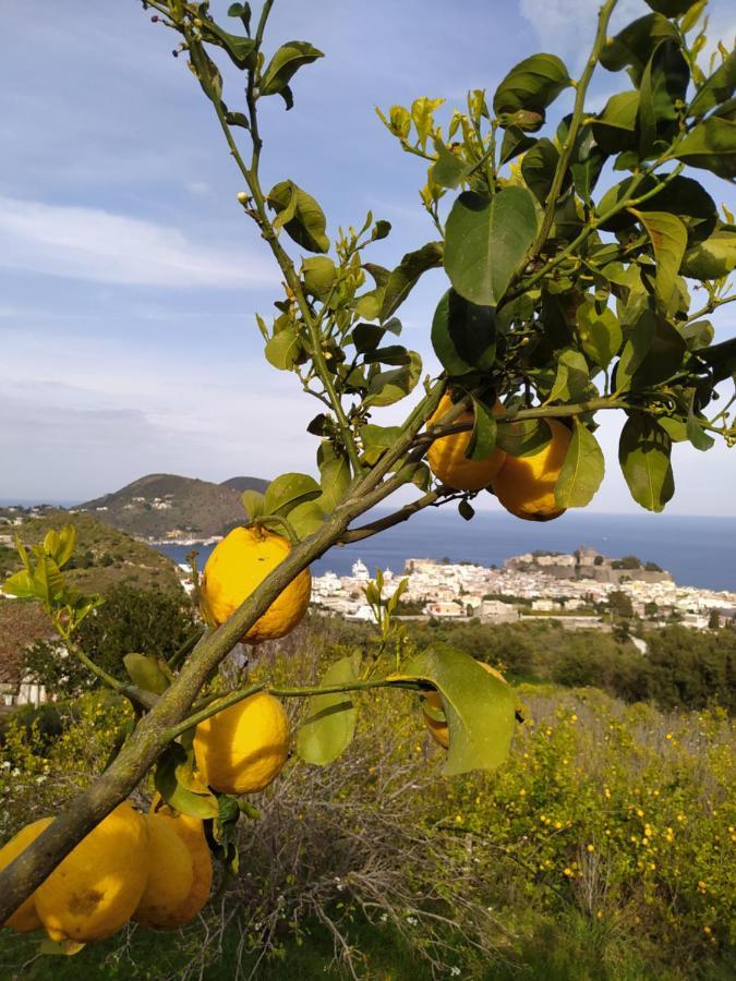 Villa Belvedere Lipari  Exteriör bild